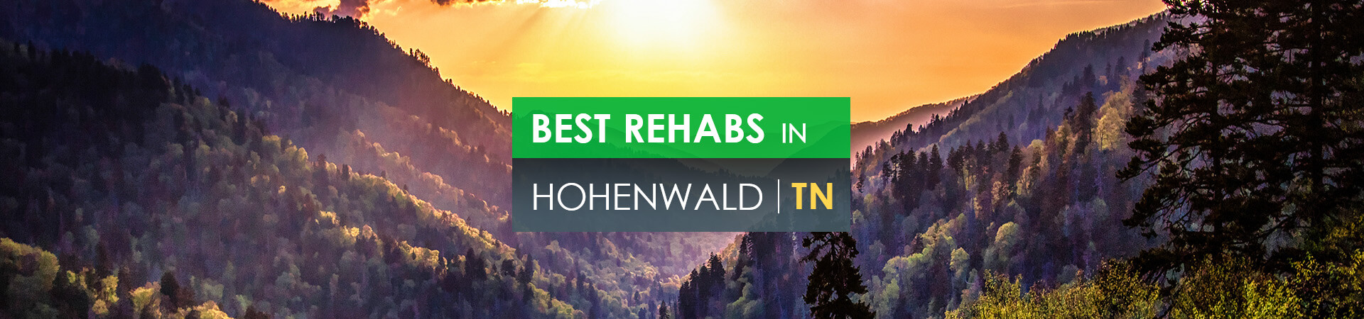 Best rehabs in Hohenwald, TN
