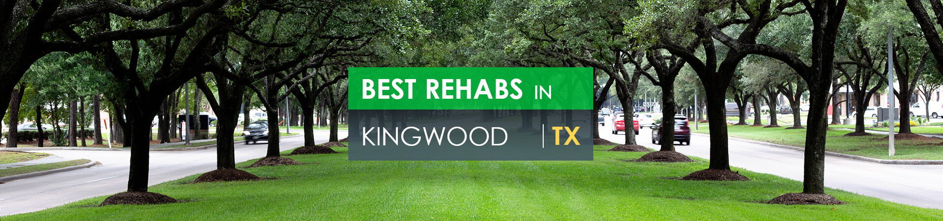 Best rehabs in Kingwood, TX