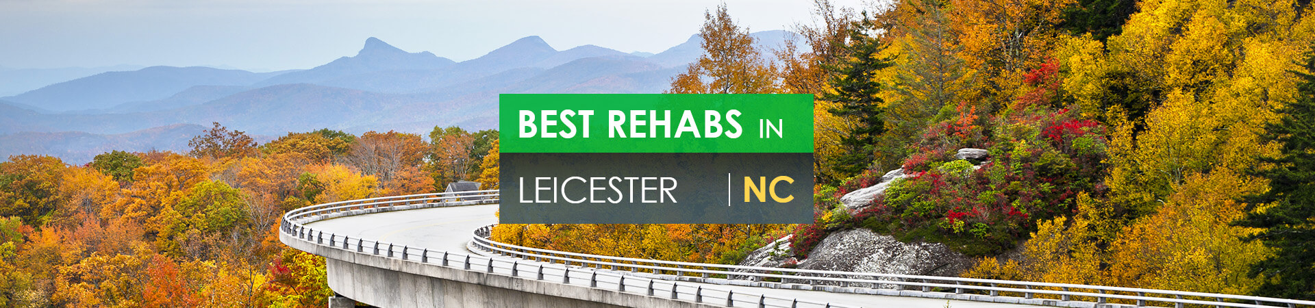 Best rehabs in Leicester, NC