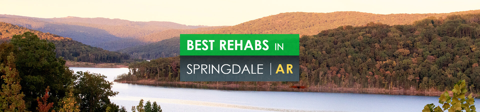 Best rehabs in Springdale, AR