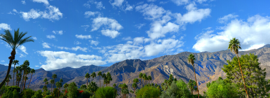 Palm springs, California USA