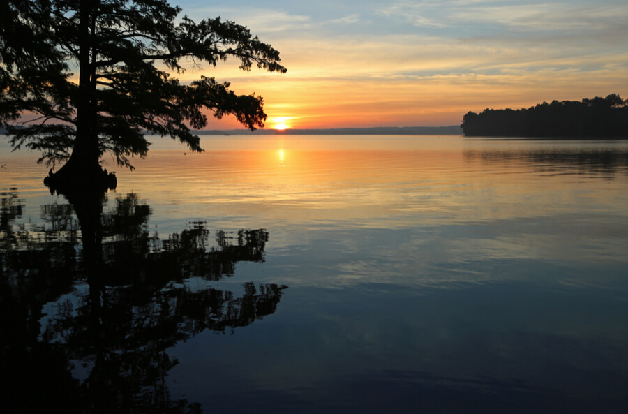 Reelfoot Lake State Park, Tennessee