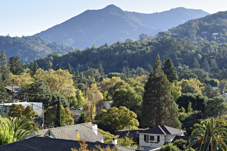 Rooftops of San Anselmo