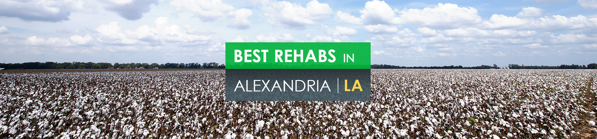 Best rehabs in Alexandria, LA