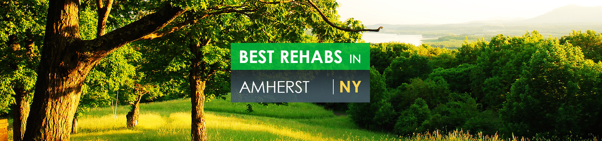 Best rehabs in Amherst, NY