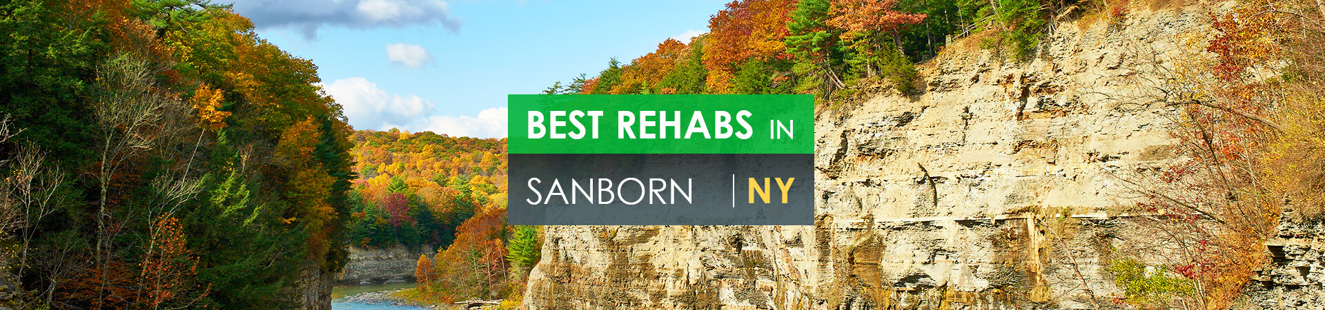 Best rehabs in Sanborn, NY