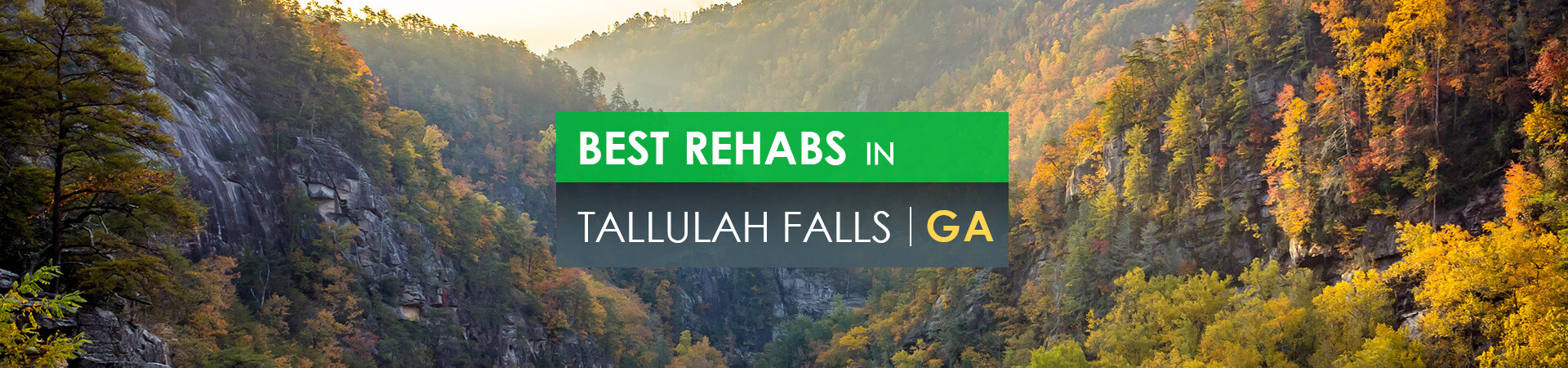 Best rehabs in Tallulah Falls, GA