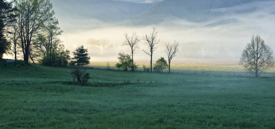 Cades Cove in the Smoky Mountain N.P. Tennessee