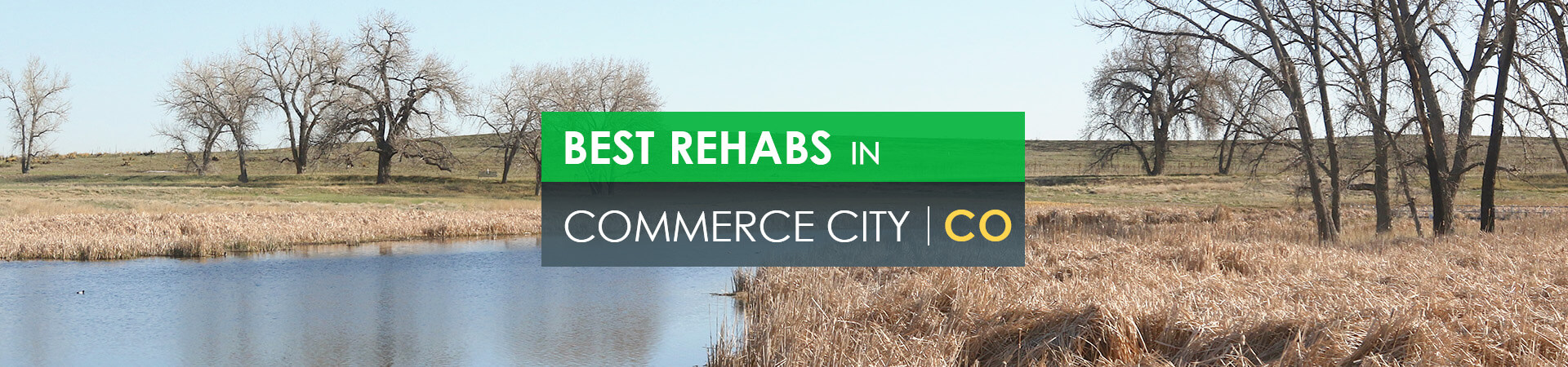 Best rehabs in Commerce City, CO
