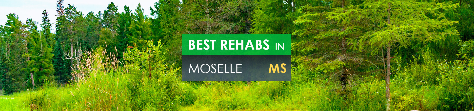 Best rehabs in Moselle, MS