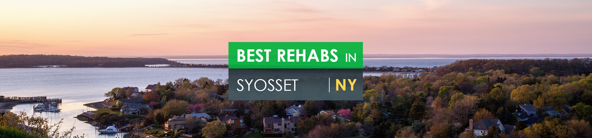 Best rehabs in Syosset, NY