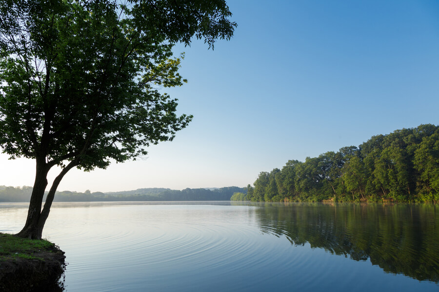 Calm lake reflecting trees