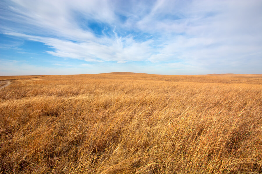 Flint Hills tallgrass prairie in Kansas