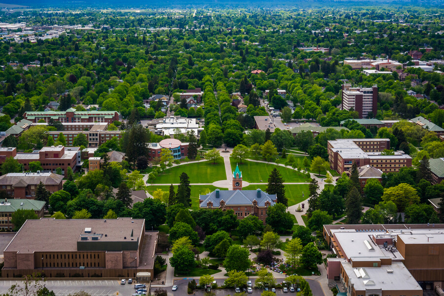 View of University of Montana