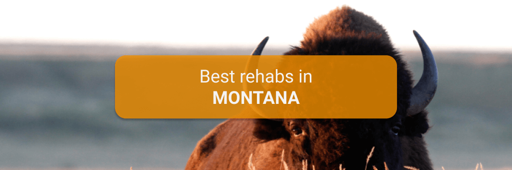 montana rehabs